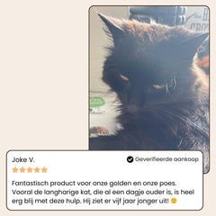 SniffPaws® Steami Pro - Brosse professionnelle pour le soin du pelage des animaux domestiques