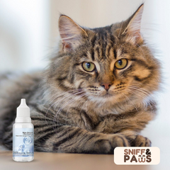 Shampooing rafraîchissant pour pelage en gouttes | Sniff&Paws™