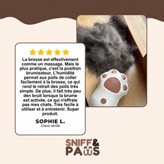 Brosse à vapeur | Brosse à vapeur rafraîchissante - Pour chats et chiensw
